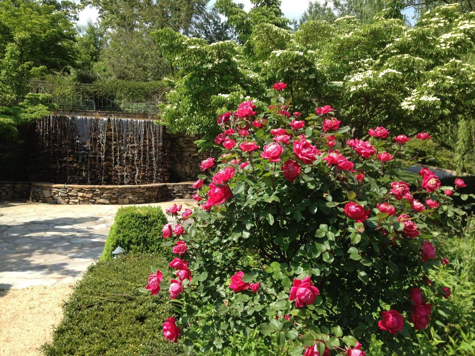 Om Sanctuary Holistic Retreat Asheville Exterior photo